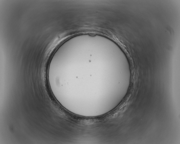 X0000115110103200911101614