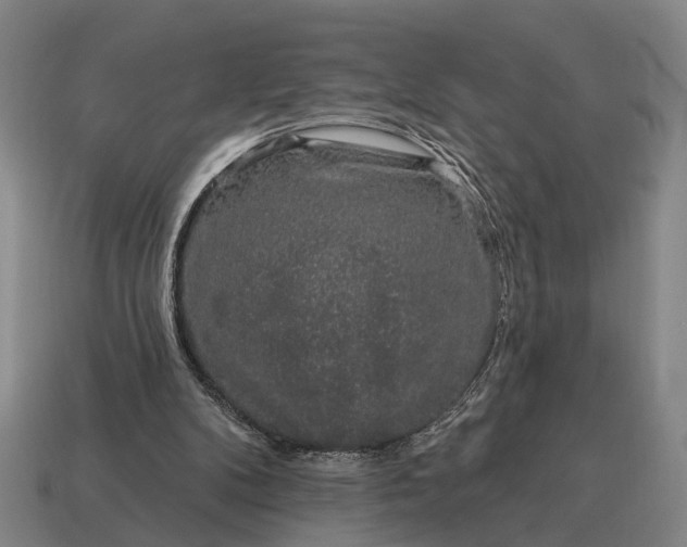 X0000115110104200911101614