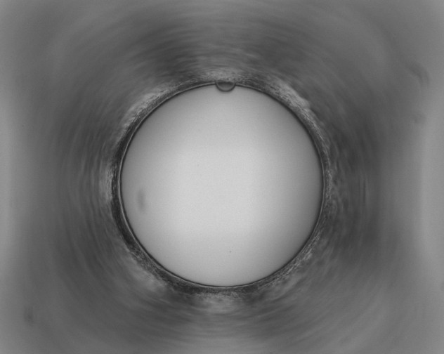 X0000115110106200911101614