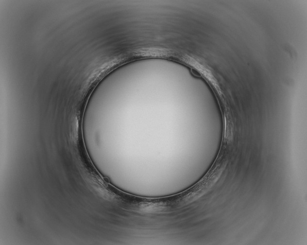 X0000115110109200911101614