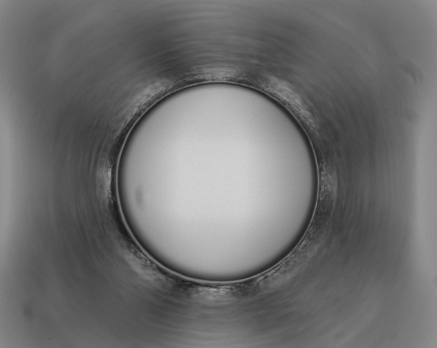 X0000115110110200911101614