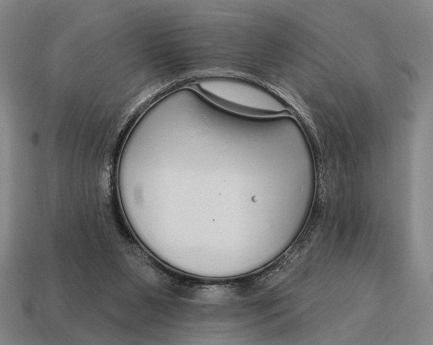 X0000115110111200911101614