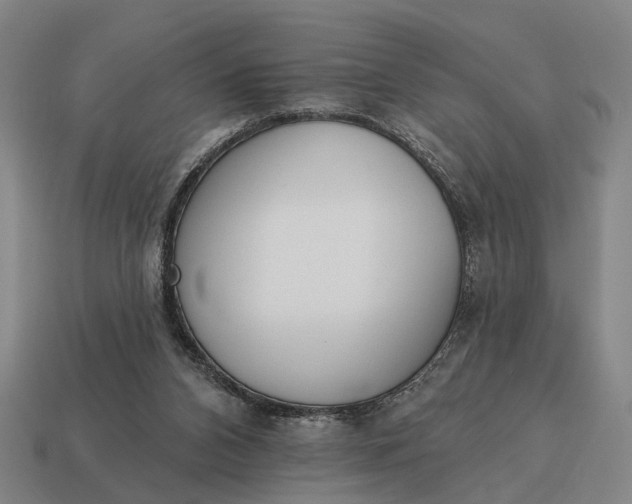 X0000115110112200911101614