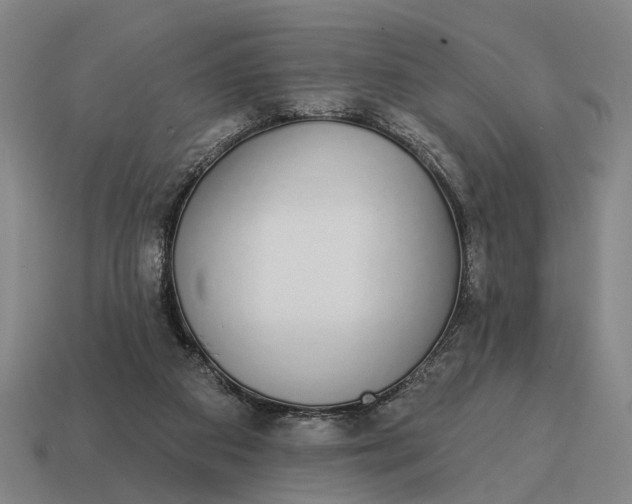 X0000115110113200911101614