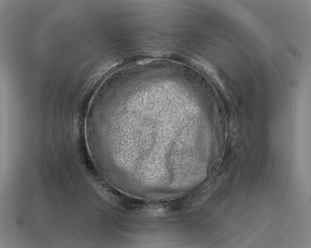 X0000115110114200911101614