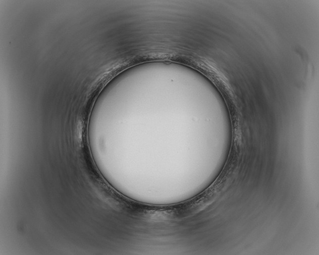 X0000115110115200911101614