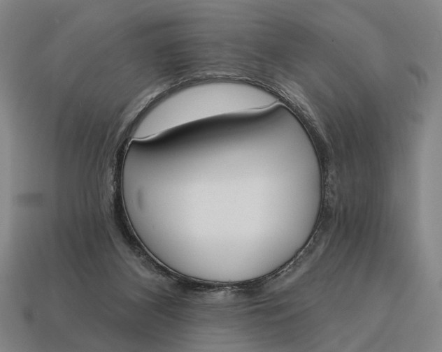 X0000115110116200911101614