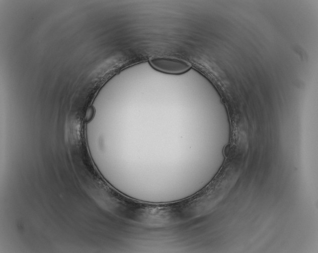 X0000115110117200911101614