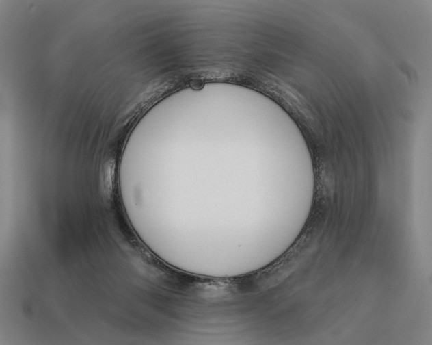 X0000115110118200911101614
