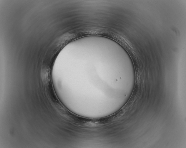 X0000115110119200911101614