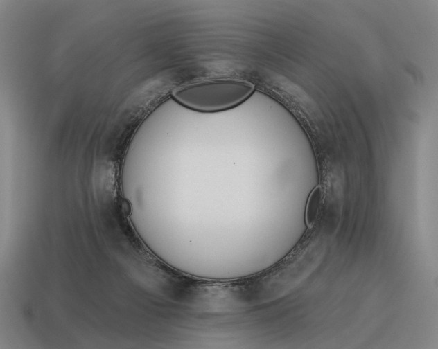 X0000115110121200911101614