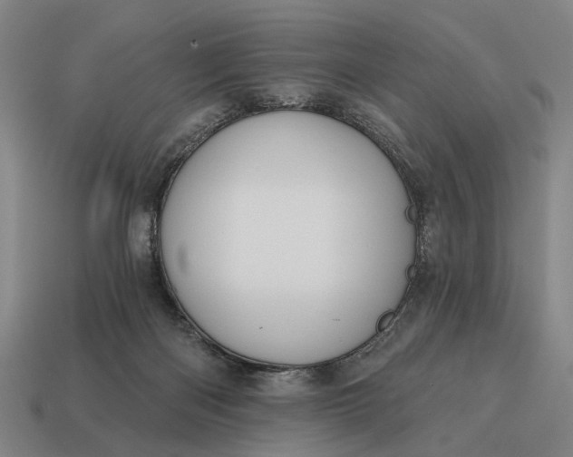 X0000115110122200911101614