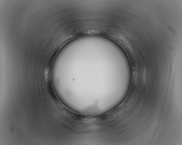 X0000115110123200911101614