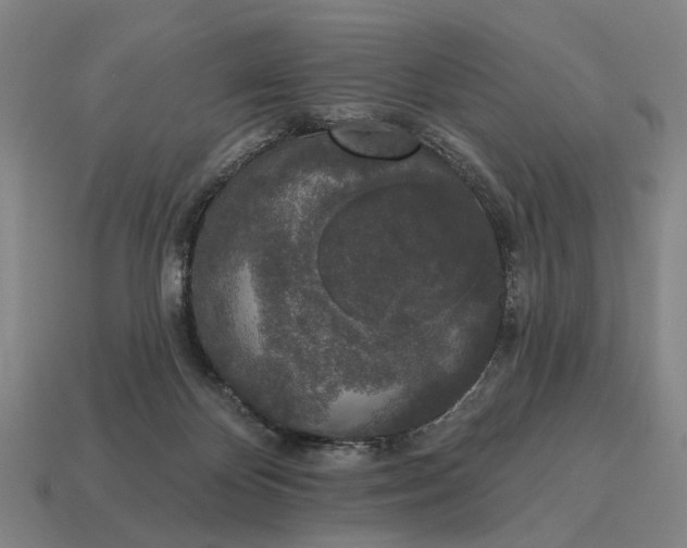X0000115110124200911101614