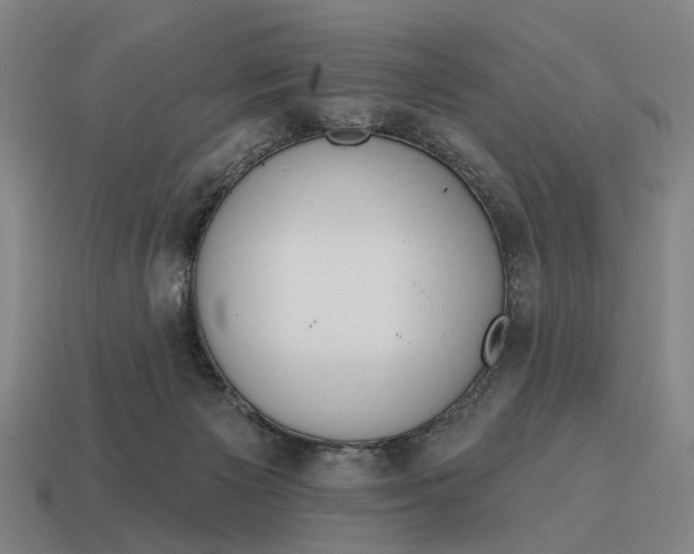X0000115110125200911101614