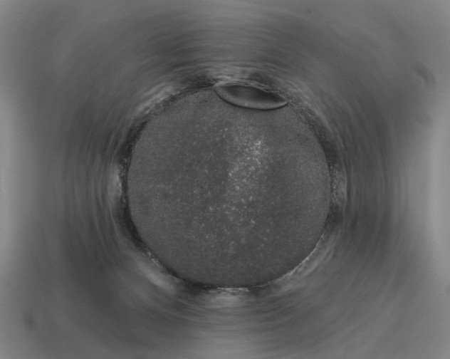 X0000115110128200911101614