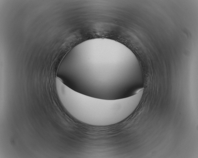 X0000115110129200911101614