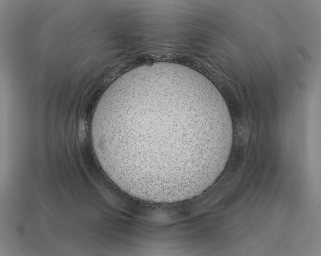 X0000115110130200911101614