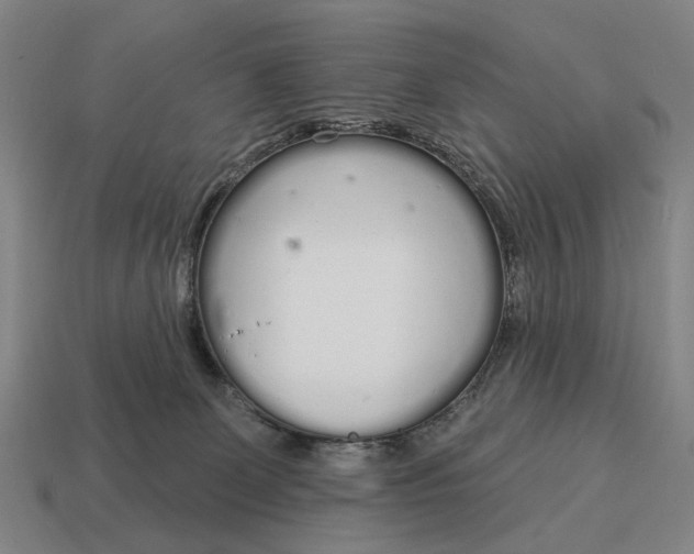 X0000115110131200911101614
