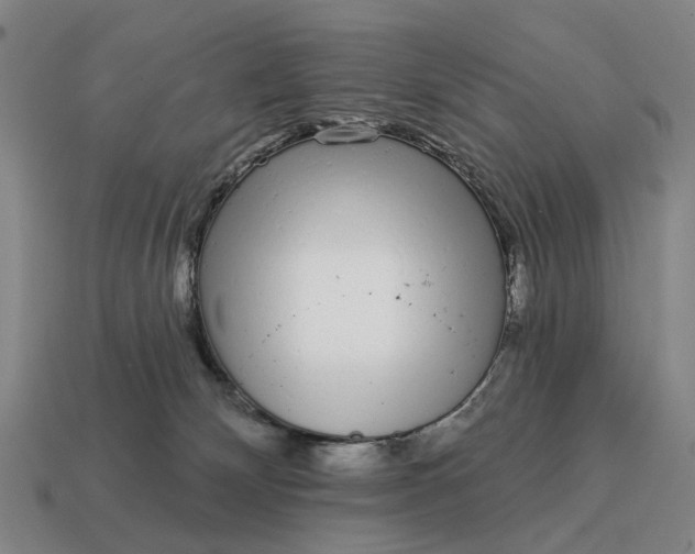 X0000115110132200911101614