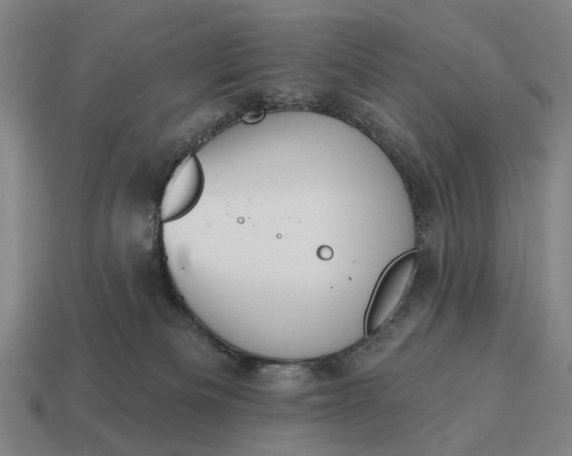 X0000115110133200911101614