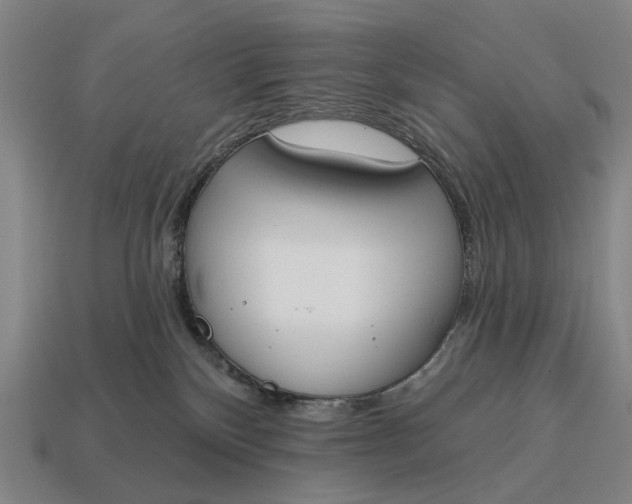 X0000115110136200911101613