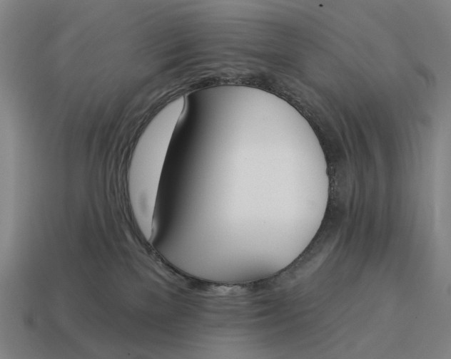 X0000115110137200911101613