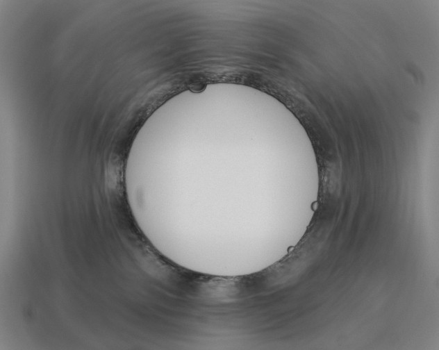 X0000115110138200911101613