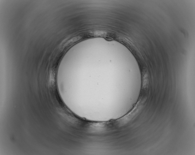 X0000115110140200911101613