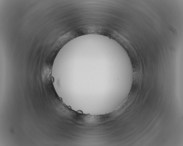 X0000115110142200911101613