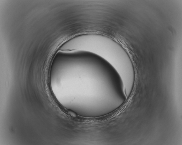 X0000115110145200911101613
