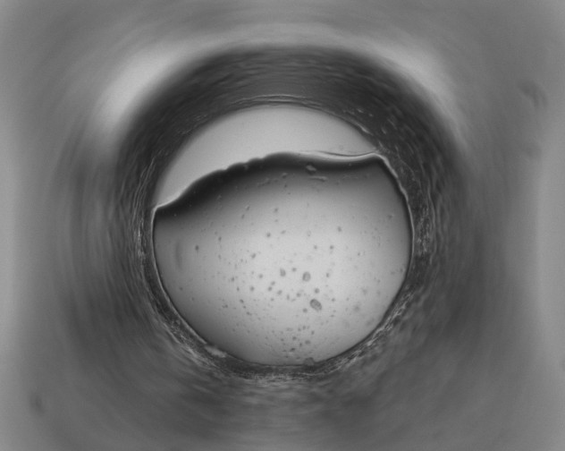 X0000115110146200911101613