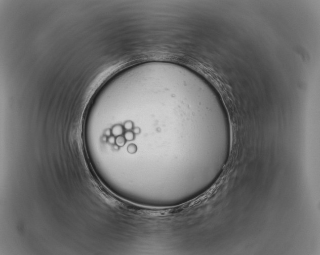 X0000115110147200911101613