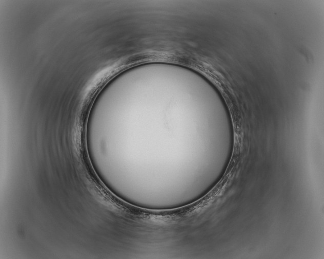 X0000115110149200911101613