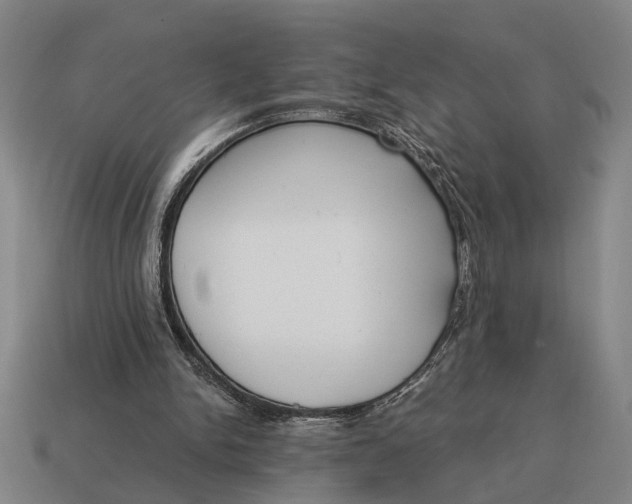 X0000115110150200911101613