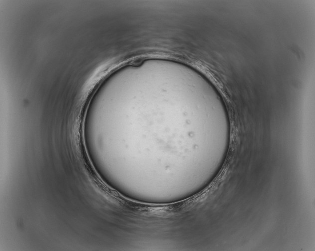 X0000115110151200911101613