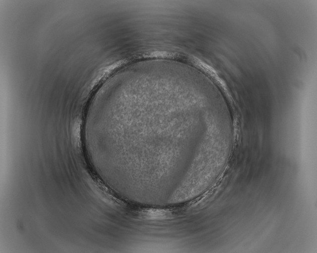X0000115110154200911101613