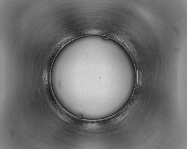 X0000115110157200911101613