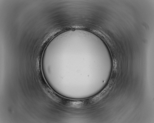 X0000115110158200911101613