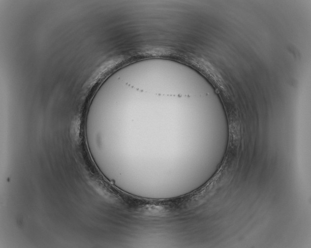 X0000115110159200911101613