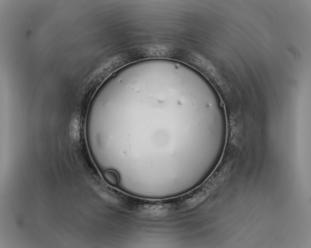 X0000115110161200911101613