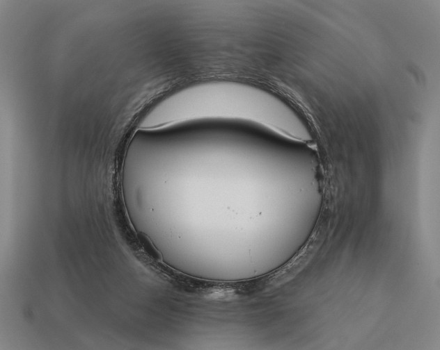 X0000115110162200911101613