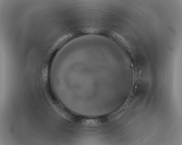 X0000115110163200911101613