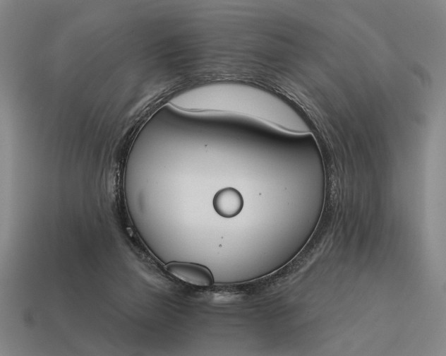 X0000115110165200911101613