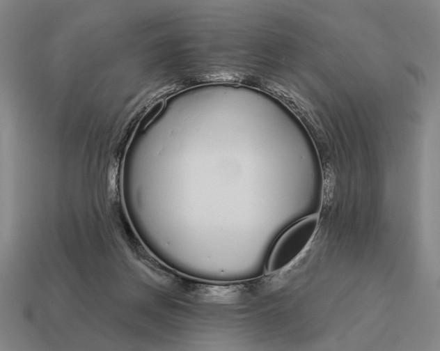 X0000115110166200911101613
