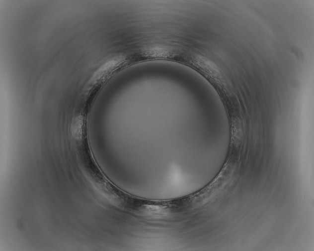 X0000115110167200911101613