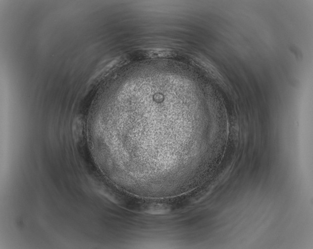 X0000115110169200911101613