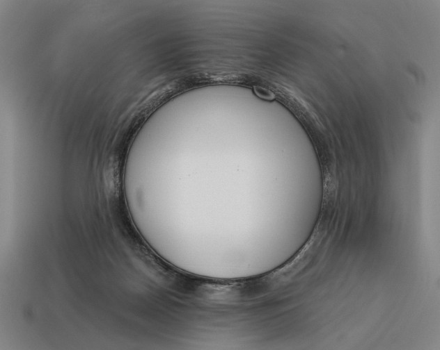 X0000115110170200911101613