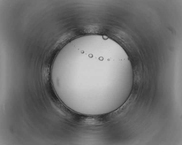 X0000115110171200911101613