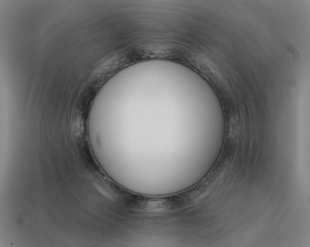 X0000115110173200911101613